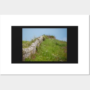 Wembury Dry Stone Wall Posters and Art